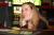 DSCF0056.JPG